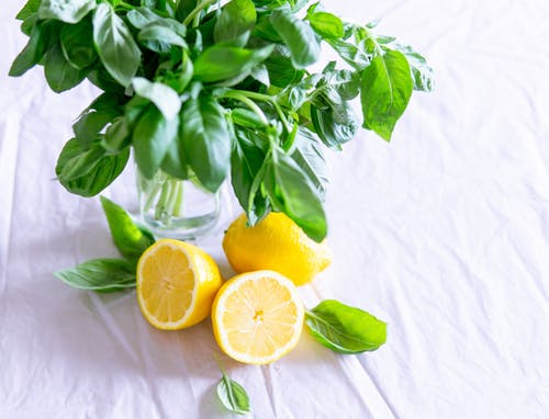 Freshly Squeezed Frozen Lemonade - Electro Freeze Southeast