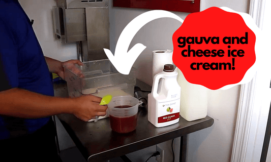Make An Outstanding Guava and Cheese Ice Cream! - Electro Freeze Southeast
