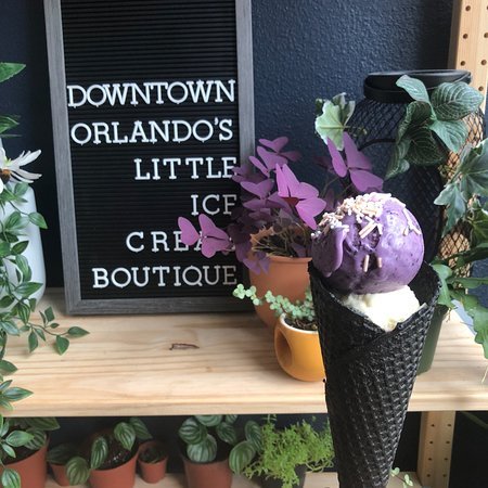 Spotlight: The Greenery Creamery - Electro Freeze Southeast