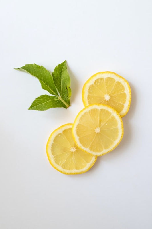 The most loved Lemon Italian Ice with ElectroFreeze B12V - Electro Freeze Southeast