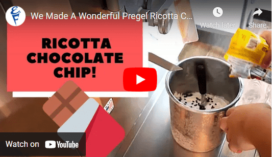 We Made A Wonderful Pregel Ricotta Chocolate Chip Ice Cream! - Electro Freeze Southeast